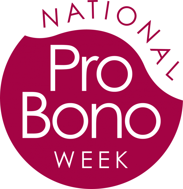 Проект pro bono